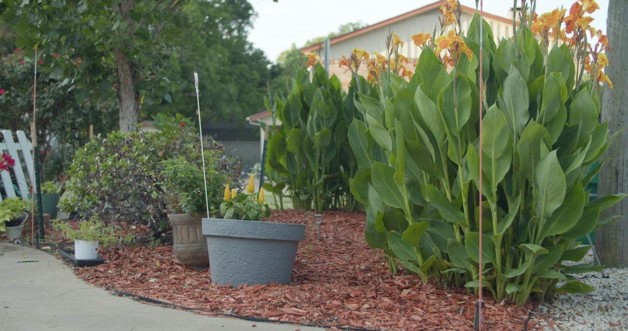 Granbury Gardens Bed&Breakfast Exterior foto