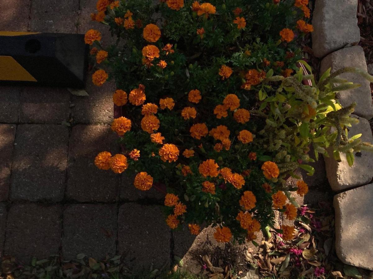 Granbury Gardens Bed&Breakfast Exterior foto